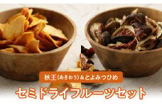秋王・とよみつひめセミドライフルーツセット_秋王 とよみつひめ セミドライフルーツ セット 30g × 4袋 いちじく 甘い 糖度20度以上 柔らかい 凝縮 無添加 ヨーグルト フルーツティー 紅茶 ブランドフルーツ 国産 お取り寄せ 福岡県 久留米市 送料無料_Ca003