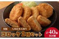 2種コロッケ詰合せセット 40個(20個×2)_コロッケ 詰合せ セット 計 40個 ホクホクコロッケ 鹿児島産 黒豚 九州産 黒毛和牛 各 80g × 40個 澱粉質 ホクホク 国産 馬鈴薯 サクサク 培焼式 生パン粉 おいしさ 口に広がる お取り寄せ お取り寄せグルメ 福岡県 久留米市 送料無料_Cx210