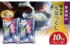 令和5年産　普通精米　福岡県産元気つくし 10kg