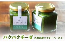 パクパクチーゼ（久留米産パクチーペースト）100g×2個入り