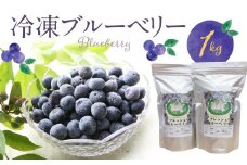 冷凍ブルーベリー 1kg_冷凍 ブルーベリー １kg 完熟 自家農園 ミキサー アイス ヨーグルト シャーベット スムージー アントシアニン 疲れ目 腸内環境 国産 ジャム レシピ 冷凍フルーツ 果物 フルーツ お取り寄せ くだものお取り寄せ 福岡県 久留米市 送料無料_Fx005