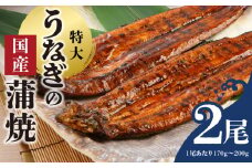うなぎの蒲焼 2尾セット（特大サイズ 一尾 170g～200g）_うなぎ 蒲焼 2尾 セット 特大サイズ 一尾170g～200g たれ付き 鰻専門問屋 樋口商店 鹿児島 宮崎 国産 ジャポニカ種 真空パック ギフト お取り寄せ グルメ うな丼 うな重 ひつまぶし お土産 手土産 贈り物 プレゼント お中元 職人 送料無料_Cu001