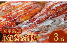 「そう馬」国産厳選うなぎの蒲焼_国産 厳選 うなぎ 蒲焼 約 250g × 3尾 たれ付 甘辛たれ そう馬 簡単調理 グルメ 食品 加工品 魚 魚介類 おかず 惣菜 ご飯のお供 酒の肴 うな丼 ひつまぶし お茶漬け 鰻巻き 冷凍 福岡県 久留米市 お取り寄せ お取り寄せグルメ 送料無料_Cu021