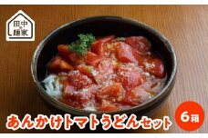 田中の麺家あんかけトマトうどんセット6箱_田中の麺家 あんかけ トマト うどん セット 6箱 常温 半生タイプ 2人前 フレッシュトマト 和風 イタリアン 特製 スープ トマト ペースト スープ付き 人気 メニュー 手軽 おいしい お取り寄せ お取り寄せグルメ 福岡県 久留米市 送料無料_Bu003