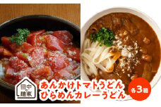 田中の麺家あんかけトマトうどん・ひらめんカレーうどん各3箱_田中の麺家 あんかけトマトうどん ひらめんカレーうどん 各 ３箱 詰め合わせ 国産たまねぎたっぷり 濃厚カレールー カレーうどん トマトうどん 食べ比べ 食品 加工食品 粉もの 麺 常温 お取り寄せ  お取り寄せグルメ 福岡県 久留米市 送料無料_Bu004