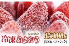 福岡県産 冷凍あまおう 摘みたて 1,500g(500g×3パック)_福岡県産 冷凍 あまおう 摘みたて 1,500g 500g × 3パック デザート 果物 いちご いちごの王様 冷凍いちご 食べ方いろいろ ヨーグルト アイス ジャム シャーベット スムージー ケーキ ドリンク お取り寄せ お取り寄せスイーツ 福岡県 久留米市 送料無料)_Fi036