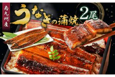 うなぎの蒲焼き2尾セット_皮はパリッと身はジューシー 鰻 蒲焼き 2尾 タレ 南九州産うなぎ こだわり製法 真空パック 冷凍 柳栄館 食品 加工品 国産うなぎ うな丼 うな重 ひつまぶし 土用 丑の日 湯せん レンジ お取り寄せ 福岡県 久留米市 送料無料_Cu015