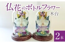 仏花のボトルフラワー（木台）2本_仏花 ボトルフラワー 木台 2本 仏事用 生花 胡蝶蘭 デンファレ 千日香 姫宇津木 ドライフラワー 自然の美しさ ガラス容器 記念日 お盆 お彼岸 仏壇 お供え ギフト 贈答品 退職祝い お手入れ簡単 雑貨 花 癒やし 贈り物 福岡県 久留米市 お取り寄せ 送料無料_Qb005