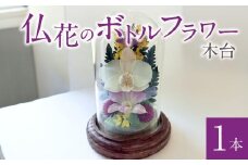 仏花のボトルフラワー（木台）1本_仏花 ボトルフラワー 木台 1本 胡蝶蘭 デンファレ 千日香 姫宇津木 癒し ドライフラワー ガラス 容器 花 日本製 退職祝い 記念日 贈答品 プレゼント用 贈り物 ギフト お歳暮 仏壇 お墓 お供え お盆 お正月 日用品 雑貨 お取り寄せ 福岡県 久留米市 送料無料_Qb004