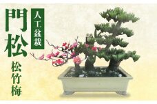 門松 松竹梅_門松 松竹梅_Hf005