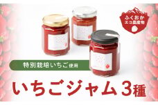 いちごジャム3種セット（特別栽培いちご使用）_いちごジャム3種セット 特別栽培いちご使用 140g × 3個 詰め合わせ 化粧箱入り 瓶 エコ農産物 濃厚 あまおう いちごの王様 ブレンド 恋みのり 風味豊か 華やか 糖度 高い スコーン ワッフル トースト グルメ 贈り物 福岡県 久留米市 お取り寄せ 送料無料_Ca011