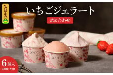 いちごジェラート詰め合わせ(6個入り)_いちご ジェラート 詰め合わせ 100ml 3種類 × 2個 合計 6個 プレミアムいちごミルク ヨーグルトホワイトショコラ 煌めくシャーベット こだわり あまおう 紅ほっぺ かおりの 恋みのり さがほのか アイス デザート お取り寄せ 福岡県 久留米市 送料無料_Dw013