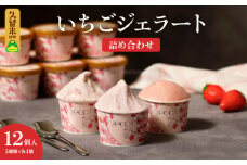 いちごジェラート詰め合わせ(12個入り)_いちご ジェラート 3種類 × 各 4個 100ml 計 12個 詰め合わせ プレミアム いちごミルク あまおう ヨーグルト ホワイトショコラ 紅ほっぺ 煌めく シャーベット かおりの 恋みのり さがほのか ブレンド 誕生日 お中元 ギフト用 おすすめ 久留米市 送料無料_Dw014