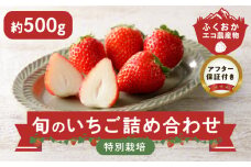 特別栽培 旬のいちご詰め合わせ （ふくおかエコ農産物） 約500g_特別栽培 旬 いちご 2種 詰め合わせ 食べ比べ セット 約 500g 冷蔵 ふくおかエコ農産物 新鮮 福岡県産 あまおう 恋みのり かおりの 紅ほっぺ よつぼし すず あまえくぼ ギフトボックス 贈答用 ゆりかーご フルーツ 果物 お取り寄せ 福岡県 久留米市 送料無料_Fi110