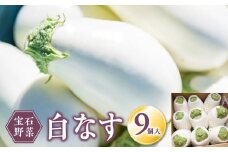 宝石野菜 白なす_宝石野菜 白なす 9個 果肉 柔らかい アクが少ない トロトロ 舌触り 野菜 揚げ焼き バター焼き 田楽 煮浸し 揚げ浸し 浅漬け 味噌汁 天ぷら 炒め物 常温配送 国産 ナス 夏野菜 お取り寄せ 福岡県 久留米市 送料無料_Gv018