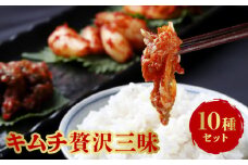 キムチ贅沢三昧10種セット_キムチ 10種 セット うま極辛 あまあま 紫蘇 白菜 刻みきびなご ピリ辛ごぼう なす イカナッツ きゅうり 大根 ピリ辛らっきょう 辛い 甘い 手作り こだわり 独自製法 ヤンニョム 石垣産 塩 ご飯のお供 お取り寄せ お取り寄せグルメ 福岡県 久留米市 送料無料_Ca110