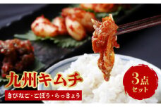 九州キムチ（きびなご・ごぼう・らっきょう）3点セット_九州キムチ 刻みきびなご ピリ辛ごぼう ピリ辛らっきょう 3点セット 女性 人気 ヘルシー ごぼう お酒 おつまみ らっきょう 甑島産 高級 きびなご キムチ レシピ ご飯のお供 食品 加工品 冷蔵 お取り寄せ お取り寄せグルメ 福岡県 久留米 送料無料_Ca112