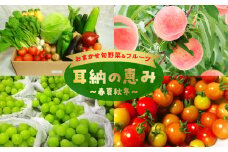 おまかせ旬野菜＆フルーツ 耳納の恵み 春夏秋冬_旬 野菜 フルーツ おまかせ セット 2ケース お取り寄せ グルメ 野菜セット 新鮮 農家直送 季節 季節野菜 旬野菜 旬フルーツ 果物 春野菜 夏野菜 秋野菜 冬野菜 野菜 フルーツ 詰め合わせ 野菜ジュース 野菜スープ ギフト 福岡県 久留米市 送料無料_Gv011