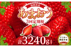 ！先行受付！【定期便 3回】あまおう 約270g 4パック×3回 計12パック_定期便 全3回 いちご あまおう 約 270g × 4パック × 3回 計 12パック 福岡県産 福岡限定 甘い 濃厚 ブランド苺 果物 フルーツ ストロべリー スイーツ パフェ ショートケーキ パンケーキ スムージー ジャム 国産 福岡県 久留米市 お取り寄せ 送料無料_Fi301