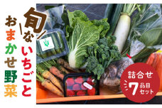 旬ないちごとおまかせ野菜詰合せ7品目セット_旬 いちご 250g おまかせ 野菜 詰合せ セット 食べ頃 6品目 玉ねぎ 人参 大根 カブ サニーレタス なす キュウリ トウモロコシ ヤングコーン ケール 赤水菜 パクチー ピーマン 赤大根 サトイモ さつまいも 新鮮 食品 お取り寄せ 福岡県 久留米市 送料無料_Gv021