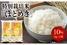 特別栽培米「ほとめき」10kg_特別栽培米 ほとめき 5kg × 2袋 10kg 光沢 粘り 上品 さっぱり 甘み 特徴 ご飯 おにぎり お弁当 久留米市農業協同組合 食品 穀物 生鮮食品 米 グルメ お取り寄せ お取り寄せグルメ 福岡県 久留米市 送料無料_Gr001
