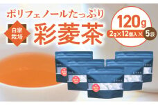 農薬不使用自家栽培 ポリフェノールたっぷり 彩菱茶　120g（2g×12袋入り）×5袋セット_自家栽培 彩菱茶 120g 2g × 12袋入り × 5袋 セット ティーバック ポリフェノール 麦茶 リラックス 菱の実 美容 健康 葉酸 エイジングケア ノンカフェイン ビタミン ミネラル 焙煎 伝統 お湯出し 煮出し お取り寄せ 福岡県 久留米市 送料無料_Ex213