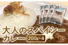 大人のスパイシーカレー200g×4_大人のスパイシーカレー200g×4_Ca019