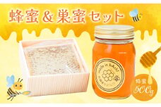 蜂蜜500gと巣蜜1つのセット_ハチミツ 巣蜜 セット 国産 計 800g 巣まるごと 鮮度 栄養豊富 ビタミン ミネラル 風邪予防 疲労回復 抗菌 貴重 食べ方いろいろ パン スイーツ 紅茶 パンケーキ ホットケーキ ヨーグルト 朝食 お取り寄せ にたばる養蜂場 福岡県 久留米市 送料無料_Ca026