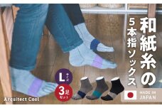 和紙×コラーゲンナイロン異素材コラボで足の悩みをサポート 爽快な履き心地 アルキテクト・クール3足入り（3色/L寸）_Qm010