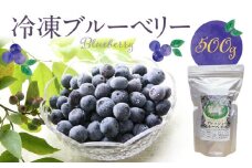 福岡県産 冷凍ブルーベリー 500g_ブルーベリー 冷凍 500g 1パック 福岡県産 果物 フルーツ 冷凍フルーツ デザート おやつ 冷凍食品 食品  お取り寄せ お取り寄せフルーツ 美味しい 九州 国産 トッピング アレンジ ヨーグルト シャーベット アイスクリーム スムージー 久留米市 送料無料_Fx010