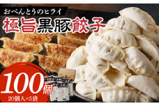 極旨黒豚餃子_極旨黒豚餃子 （23g×20 個）×5 袋 餃子 100個 三桃食品 おべんとうのヒライ 鹿児島県産 黒豚 肉 豚肉 国産 極旨 黒豚餃子 食品 食べ物 おかず おつまみ 水餃子 揚げ餃子 冷凍 簡単調理 カリカリ もっちり 福岡 久留米 お取り寄せ お取り寄せグルメ 送料無料_Cx221