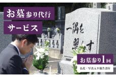 お墓参り代行サービス_お墓参り 代行 サービス 1回 はかサポ お墓 掃除 仏花 写真入り 報告書付 命日 お盆 お彼岸 年末年始 実施日指定可能 真心 丁寧 お墓の管理 帰省 お手入れ クリーニング お線香 お供え ご先祖様 供養 お参り 久留米市内にお墓がある方限定 福岡県 久留米市 _Rd015