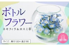 ネモフイラとカスミ草のボトルフラワー_ボトルフラワー ネモフィラ カスミ草 奥行120×高さ100 ドライフラワー ガラス容器 インテリア 雑貨 観賞用 花 フラワー アレンジメント ギフト 贈り物 プレゼント 福岡県 久留米市 お取り寄せ 送料無料_Qb008