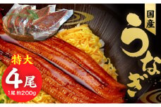 国産うなぎ蒲焼 200g×4尾_うなぎ 蒲焼 約200g × 4尾 計約800g 特大 独自 秘伝のタレ 山椒 付き 冷凍 うな丼 うな重 ひつまぶし お土産 ギフト 贈り物 国産 食品 食べ物 福岡県 久留米市 お取り寄せ お取り寄せグルメ 送料無料_Cu024