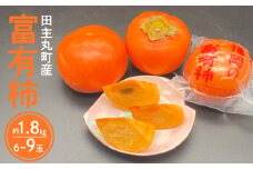 柿の王様 池尻農園 田主丸町の富有柿(冷蔵) 6玉～9玉 約1.8kg_富有柿 6玉 ～ 9玉 約 1.8kg 柿の王様 池尻農園 田主丸町 冷蔵 甘柿 天皇への献上品 高品質 高糖度 栄養たっぷり 愛情たっぷり デザート こだわり スーパーフルーツ 果物 お取り寄せ お取り寄せ ご家庭用 人気 食品 食べ物 国産 福岡県 久留米市 送料無料_Fk103