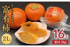 【予約受付中】12月より出荷！柿の王様 池尻農園 田主丸町の富有柿(冷蔵)2L 16玉入り 約4.2㎏_柿 約 4.2kg 富有柿 2L サイズ 16玉 入り 個包装 柿の王様 甘柿 人気 高い 国産 フルーツ 果物 高品質 天皇への献上品 福岡県 久留米市 田主丸 お取り寄せ お取り寄せフルーツ 冷蔵 生食 食品 食べ物 送料無料_Fk106