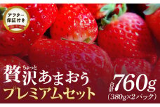 ちょっと贅沢あまおうプレミアムセット_あまおう プレミアム セット 380g × 2パック 久留米産 糖度 酸度 バランス エコ 農産物認証制度 完熟 ゆりかーご いちご デザート おやつ 果物 フルーツ 永田農園 グルメ お取り寄せ お取り寄せグルメ 福岡県 久留米市 送料無料_Fi043
