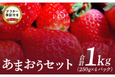 あまおうセット_いちご あまおう 250g×4パック 計 1kg セット 果物 フルーツ ストロべリー ジューシー 贅沢 完熟 ふくおかエコ農産物認証制度 久留米市 お取り寄せ お取り寄せフルーツ ゆりかーご 冷蔵 食品 食べ物 おやつ スイーツ スムージー ジャム お菓子作り 送料無料_Fi044