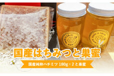 国産はちみつと巣蜜_国産はちみつ 180g × 2個 計 360g 巣蜜 セット 瓶 はちみつ 国産 純粋はちみつ 天然のはちみつ 栄養 豊富 低カロリー トースト ホットケーキ ヨーグルト シリアル パン クラッカー にたばる養蜂場 食品 常温 おすすめ お取り寄せ 福岡県 久留米市 送料無料_Ca028