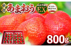 【クリスマスまでのお届け！】数量限定 厳選あまおう 800g_【クリスマスまでのお届け】 数量限定 厳選 あまおう 800g 最高等級 エクセレント いちご 有機質肥料 福岡県 特別栽培認定農家 採れたて 農家直送 ギフトボックス 贈答用 うるう農園 果物 フルーツ 冷蔵 お取り寄せ お取り寄せフルーツ 送料無料_Fi005-V2_X