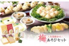 梅の花 梅あそびセット_梅の花通販本舗 梅あそび セット 大豆 惣菜 おかずセット かに とうふ しゅうまい 湯葉 生麩 嶺岡豆腐 木の芽みそ 柚子みそ 詰め合わせ 豆腐 加工品 おかず 福岡県 久留米市 お取り寄せ お取り寄せグルメ 送料無料_Cx224