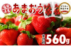 福岡県産 あまおう 約560g（約280g×2パック）_いちご あまおう 2025年 1月 上旬より発送 約 280g × 2パック 合計 約 560g 福岡県産 食べごたえのある大きさ 果汁 スイーツサンド パフェ ショートケーキ 旬 果物 フルーツ スイーツ おやつ 久留米市 冷蔵 お取り寄せ 送料無料_Fi049