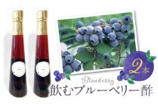 飲むブルーベリー酢　2本_お酢 ドリンク ブルーベリー 300ml 2本 飲むお酢 ブルーベリー酢 甘くて飲みやすい 希釈 3倍～5倍 果汁 アントシアニン 疲れ目予防 腸内環境改善 簡単 アレンジ 牛乳 炭酸 お酒 瓶 果実酒 お酢飲料 飲料 飲み物 健康 福岡県 久留米市 お取り寄せ 送料無料_Ex218