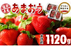 福岡県産 あまおう 約1120g（約280g×4パック）_福岡限定 いちご あまおう 約280g×4 パック 計約1120g 希少 福岡県産 久留米市 フルーツ 果物 果汁 フルーティー ビタミンＣ キシリトール カリウム 食物繊維 スイーツ デザート いちごジャム いちご煮 冷蔵 お取り寄せ 送料無料_Fi050