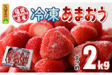福岡県産 冷凍あまおう 2000g（500g×4パック）_いちご 冷凍 あまおう 合計約2000g 約500g × 4パック ヨーグルト アイス ジャム スムージー 果汁 栄養素 食物繊維 ビタミンＣ キシリトール カリウム 風邪予防 アンチエイジング 福岡県産 果物 フルーツ スイーツ 久留米市 お取り寄せ 送料無料_Fi210