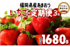 先行予約！『いちごの定期便』福岡県産　あまおう　合計約1680g（約280 g×2パックを2月3月4月の3回）　 2025年2月より順次発送
