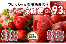 【いちごの年間定期便】　あまおう　約560g（約280g×2パック）× 12月〜5月まで計6回　　 冷凍あまおう　1000g（500g×2パック）×6月〜11月まで計6回