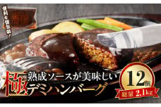 極 漆黒デミハンバーグ12個_極 漆黒 デミハンバーグ 12個 熟成ソース付 真空パック 湯煎可 個別真空 個包装 ハンバーグ セット デミグラス 美味しい 肉 ハンバーガー ロコモコ丼 料理 アレンジ 夕食 惣菜 おかず 便利 冷凍 福岡県 久留米市 お取り寄せ お取り寄せグルメ 送料無料_Ax111