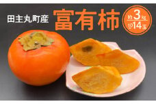 柿の王様 池尻農園 田主丸町の富有柿(冷蔵) 10玉～14玉 約3kg_柿 甘柿 富有柿 10玉 ～ 14玉 約 3kg 柿の王様 人気 高い 国産 フルーツ 果物 高品質 天皇への献上品 秋の味覚 名産地 冷蔵 スイーツ サラダ 旬 池尻農園 福岡県 久留米市 田主丸 お取り寄せ お取り寄せフルーツ 食品 食べ物 送料無料_Fk107