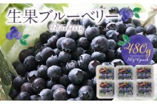 福岡県産 ブルーベリー生果 480g_福岡県産 生果 ブルーベリー 80g × 6パック 計 480g 耳納連山 麓 筑後川 恵み 国産 果物 フルーツ 新鮮 冷蔵 冷凍保存可 デザート グルメ お取り寄せ お取り寄せグルメ 九州 福岡県 久留米市 送料無料_Fx009